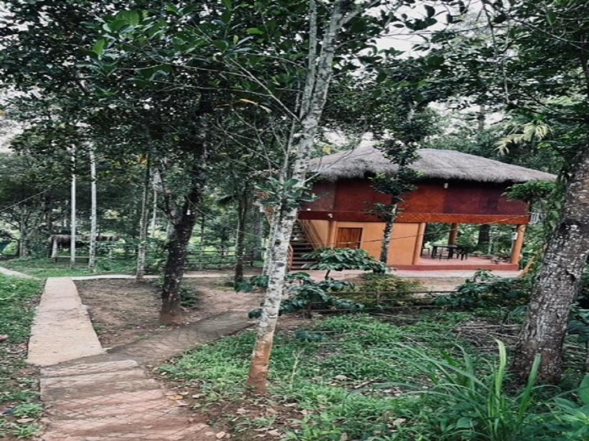 Kuruva Shoreline Wayanad Chegāt Exteriör bild