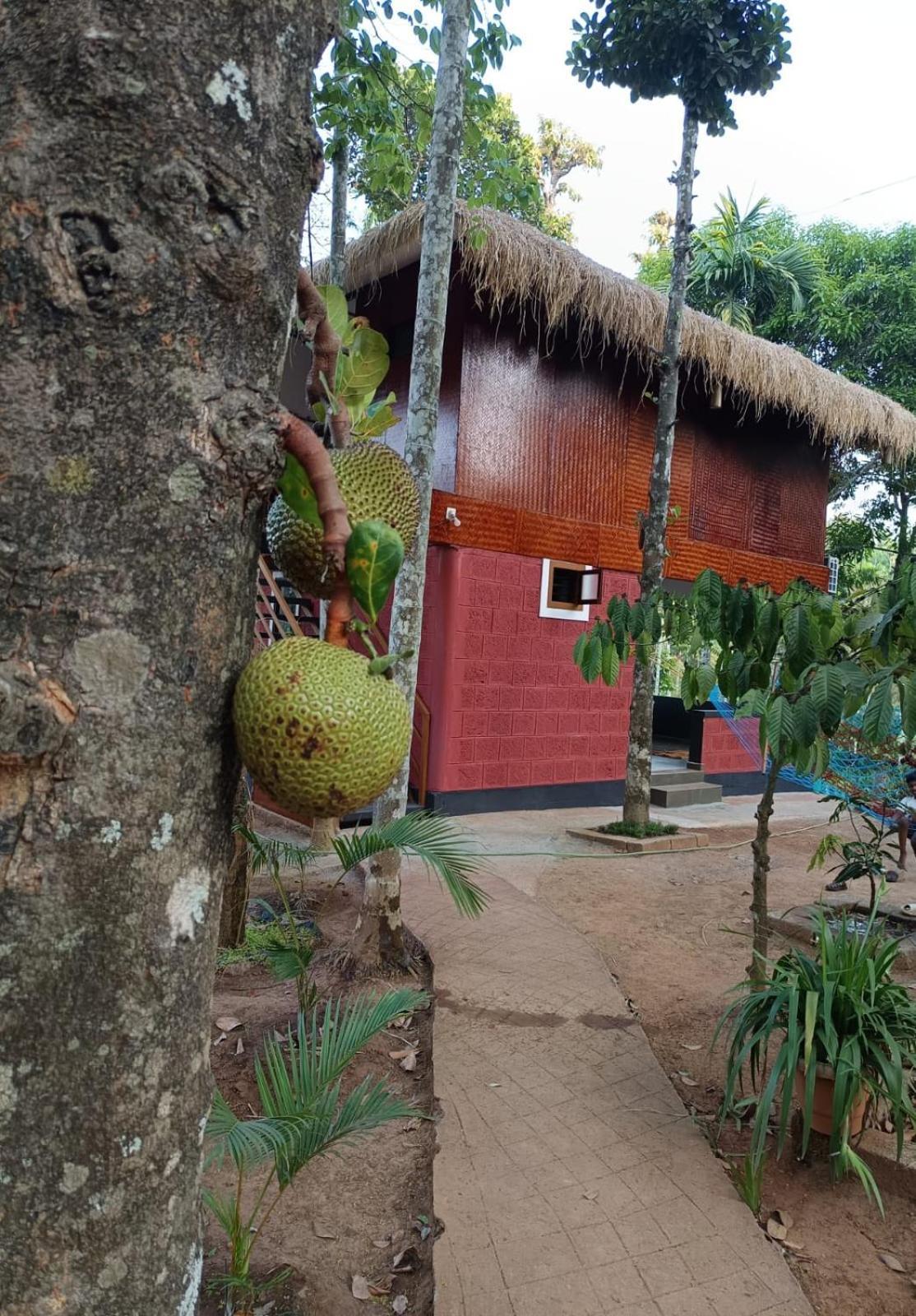 Kuruva Shoreline Wayanad Chegāt Exteriör bild