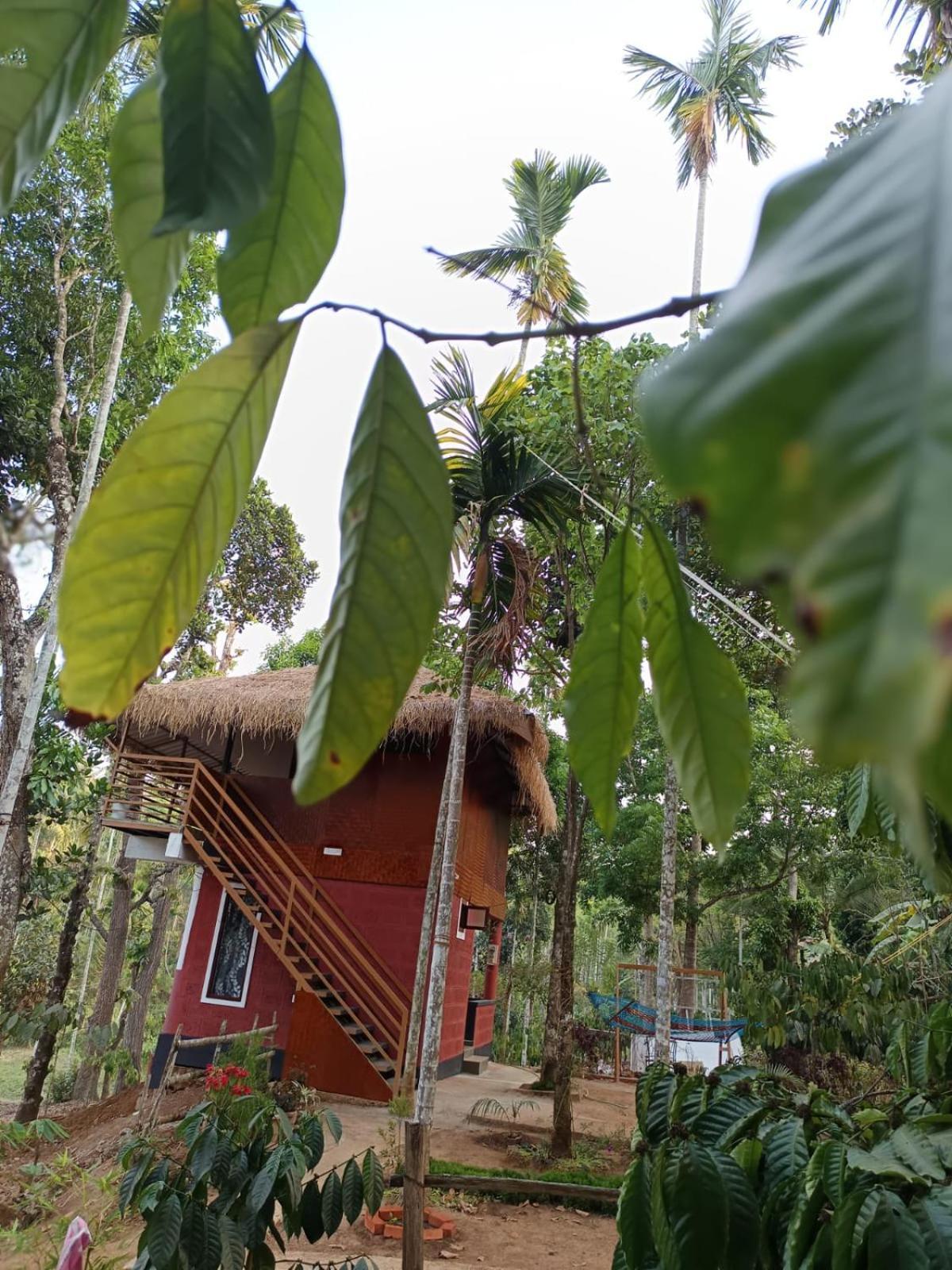 Kuruva Shoreline Wayanad Chegāt Exteriör bild